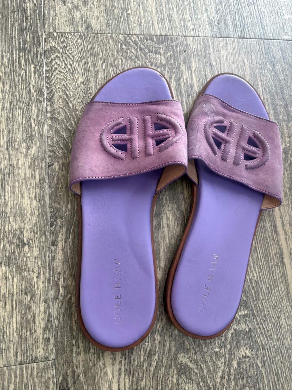 Cole Haan Purple Suede Slide Sandals - Women's